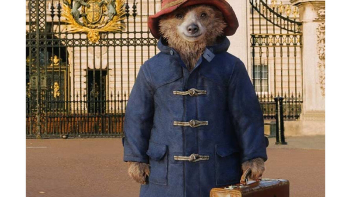 Paddington Bear Blue Duffle Hooded Coat - XEBOI