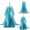 Princess Elsa Blue Costume