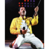 Freddie Mercury Yellow Jacket